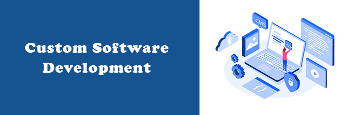 Custom Software Development - Catmosweb